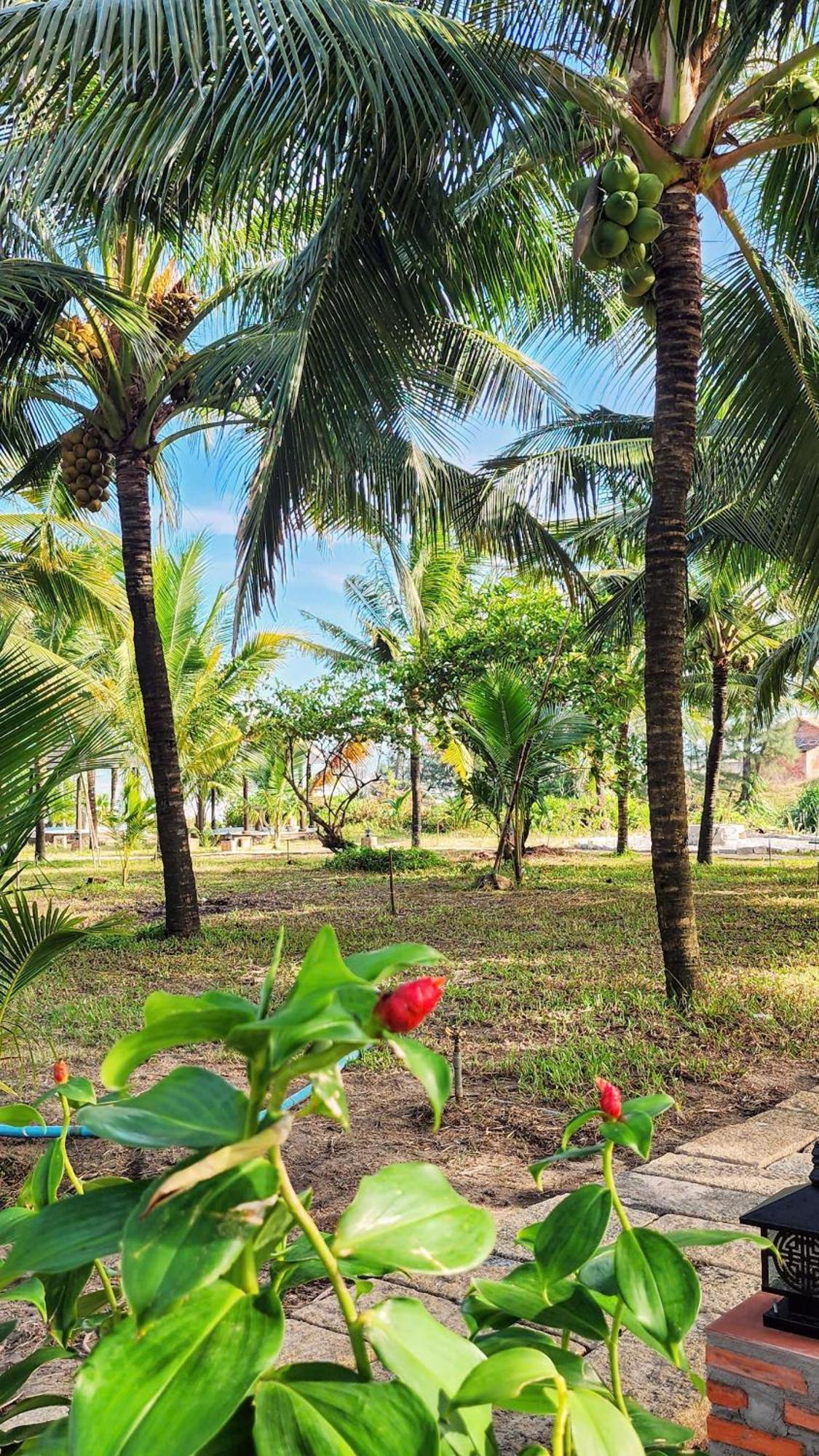 Zen Resort - Villa Beach- Garden Xom Tram Екстериор снимка